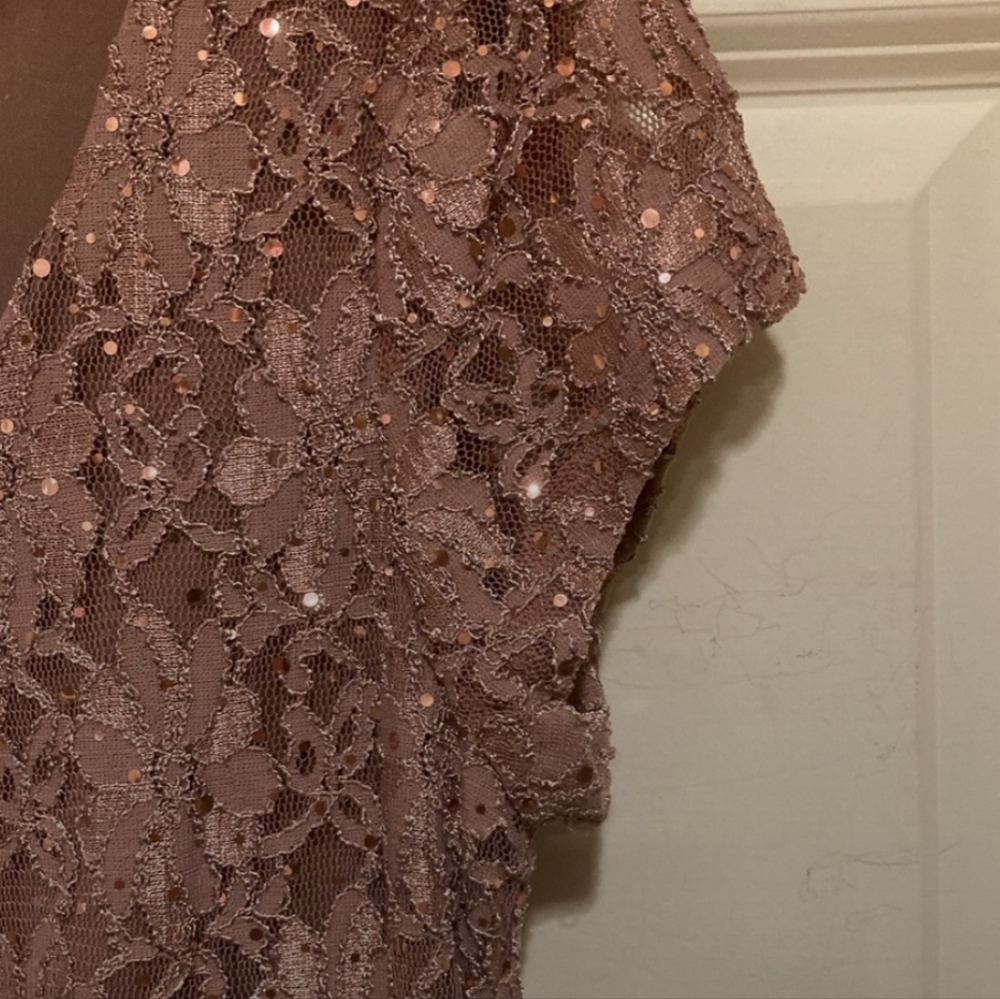 Rose Sequined Mother of Bride/Groom Sheath Column Dress V-Neck Sz 10 - Picture 4 of 12